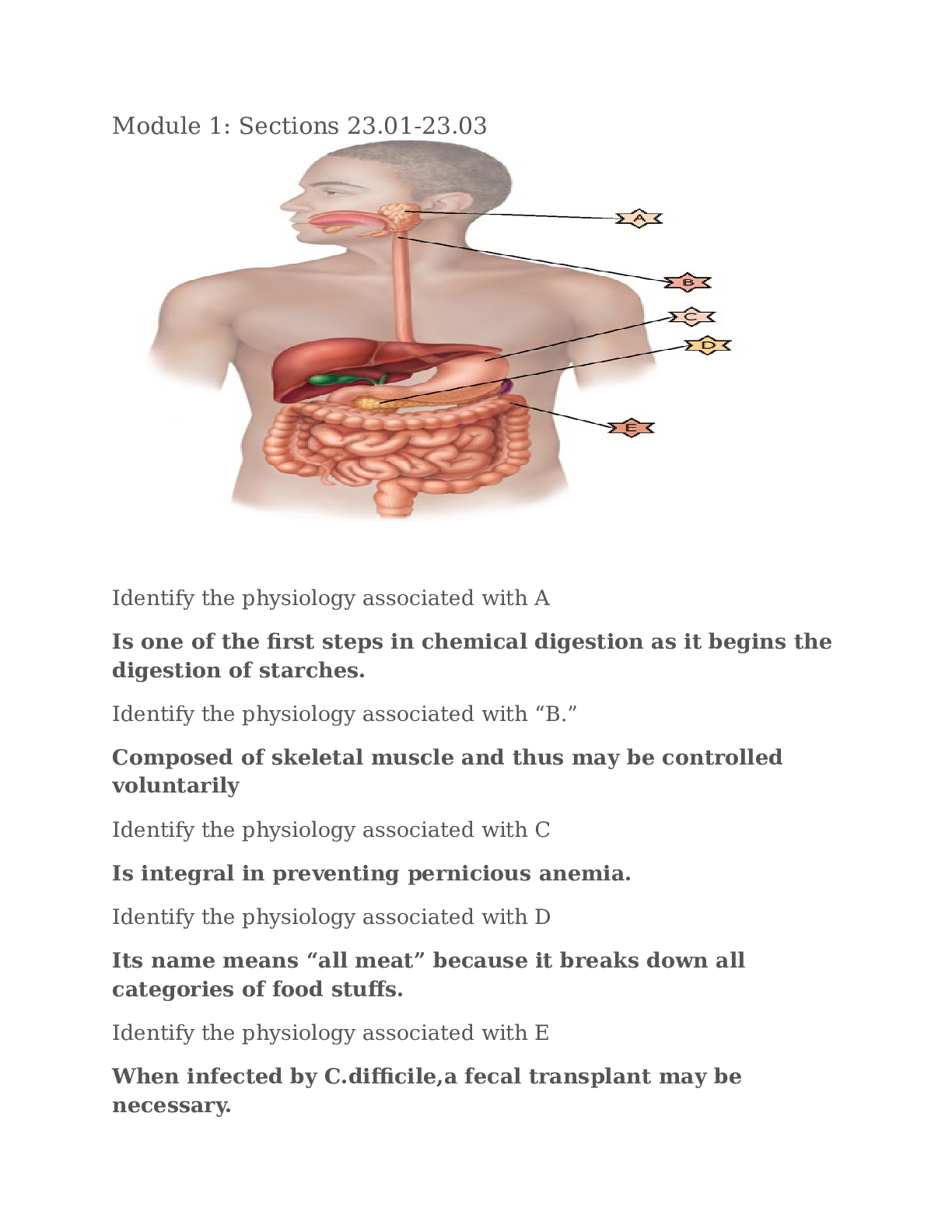 Preview of ANATOMY 101 Module 1 chapter 23 Questions And Answers